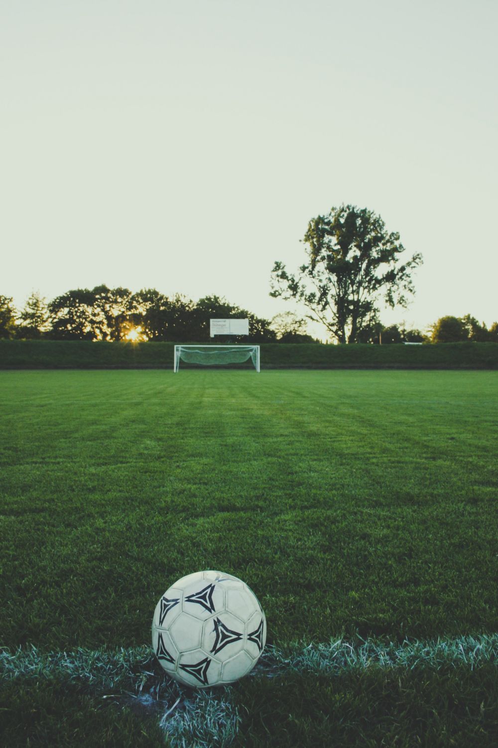 sverige fotboll
