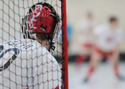 sverige innebandy vm damer