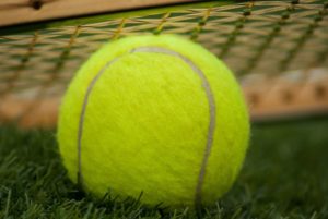 tennis bollar