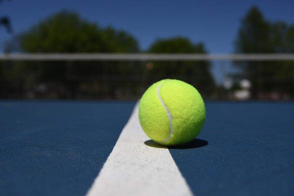 wilson padel skor