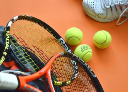 em i bordtennis