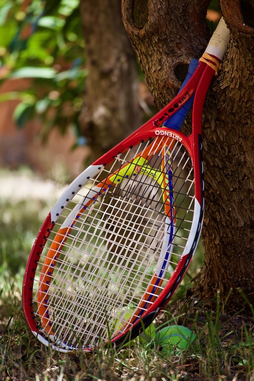 badminton skor